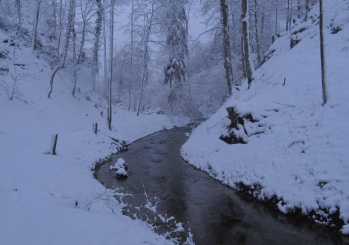 190110 115 HombiSnowEvening TobelBach