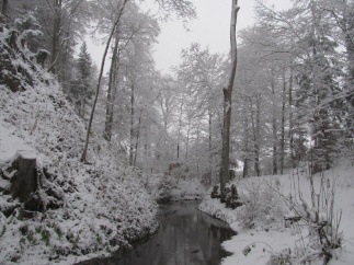 201201 104 SnowyMorning Tobel