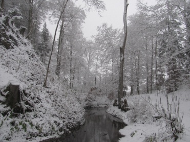201201 104 SnowyMorning Tobel